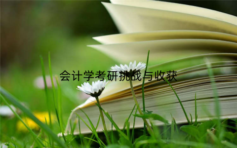 会计学考研挑战与收获