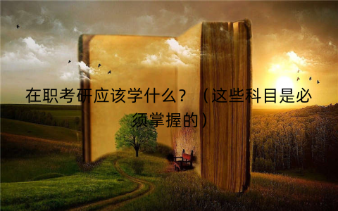 在职考研应该学什么?(这些科目是必须掌握的) 在职考研应该学什么?(这些科目是必须掌握的)