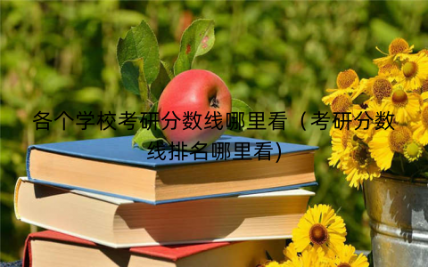 各个学校考研分数线哪里看（考研分数线排名哪里看)