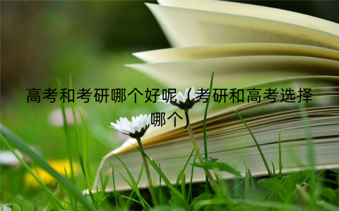 高考和考研哪个好呢（考研和高考选择哪个)