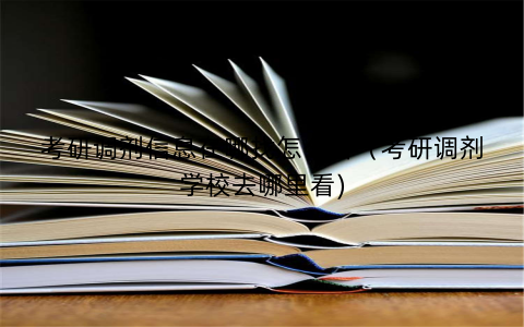 考研调剂信息在哪找怎么看（考研调剂学校去哪里看)