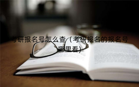 考研报名号怎么查(考研报名的报名号哪里看) 考研报名号怎么查(考研报名的报名号哪里看)