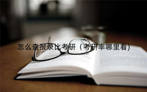 怎么查报录比考研（考研率哪里看)