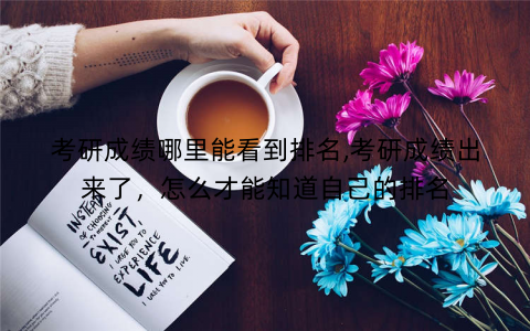 考研成绩哪里能看到排名,考研成绩出来了,怎么才能知道自己的排名 考研成绩哪里能看到排名,考研成绩出来了,怎么才能知道自己的排名
