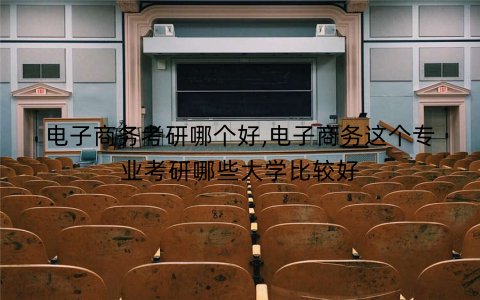电子商务考研哪个好,电子商务这个专业考研哪些大学比较好