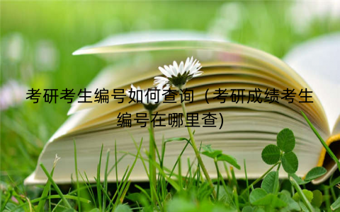 考研考生编号如何查询（考研成绩考生编号在哪里查)