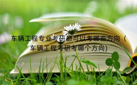车辆工程专业考研都可以考哪些方向（车辆工程考研考哪个方向)