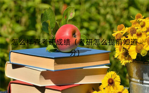 怎么样查考研成绩（考研怎么提前知道分)