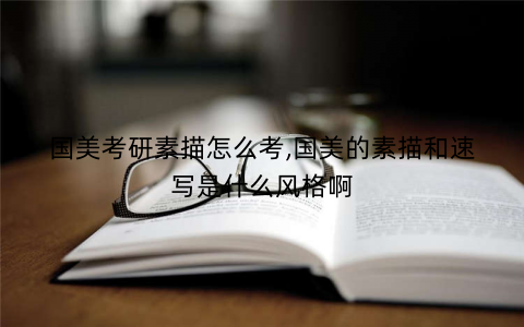 国美考研素描怎么考,国美的素描和速写是什么风格啊