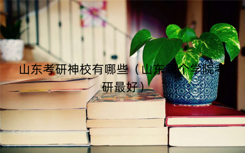 山东考研神校有哪些（山东哪个学院考研最好）