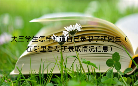 大三学生怎样知道自己录取了研究生(在哪里看考研录取情况信息) 大三学生怎样知道自己录取了研究生(在哪里看考研录取情况信息)