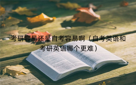 考研容易还是自考容易啊（自考英语和考研英语哪个更难）