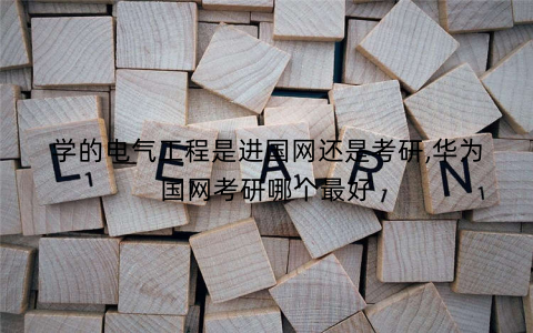 学的电气工程是进国网还是考研,华为国网考研哪个最好