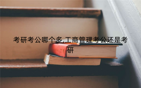 考研考公哪个多,工商管理考公还是考研