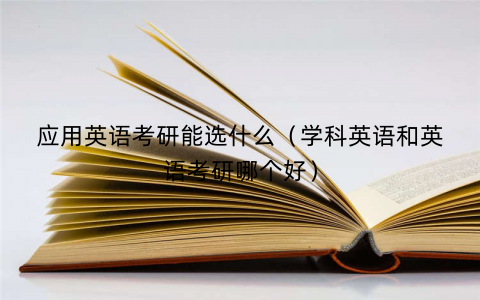 应用英语考研能选什么（学科英语和英语考研哪个好）